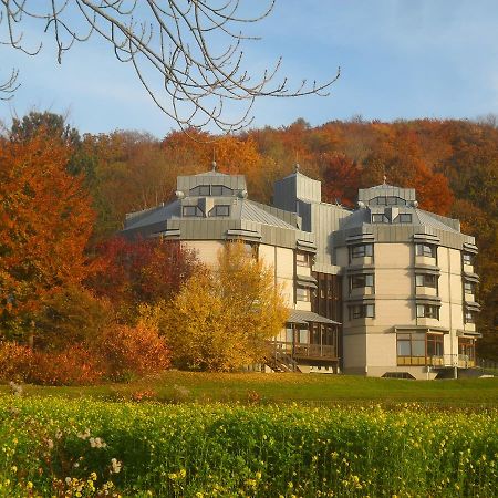 Hellmut-Wassmer-Jugendherberge Loerrach Экстерьер фото