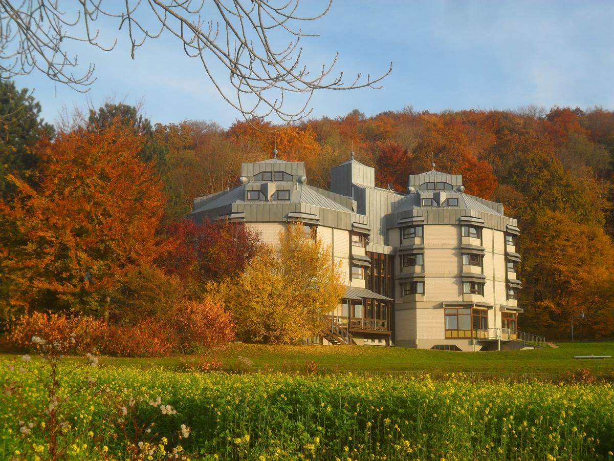 Hellmut-Wassmer-Jugendherberge Loerrach Экстерьер фото